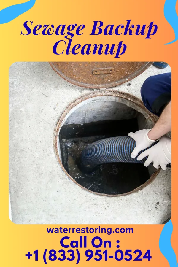 Sewage Backup Cleanup in Atlantis, FL