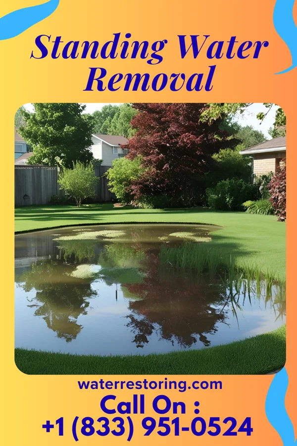 Standing Water Removal in Atlantis, FL